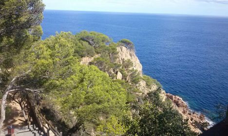 WhatsApp Image 2017-10-08 at 20.45.19.jpeg