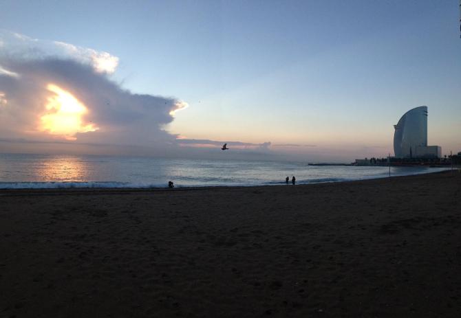 WhatsApp Image 2018-11-16 at 16.03.45