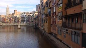 WhatsApp Image 2018-11-20 at 12.17.11