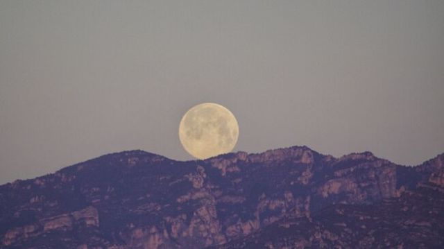 ponent-se-aquest-Amposta-AGUSTI-DESCARREGA_2201190098_61355634_651x366