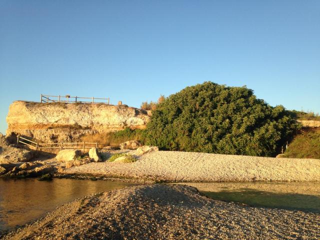 Senia: mar i figuera